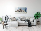 shutterstock_1864665679XcyKouc07pPhN_1280x1280.jpg