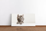 shutterstock_1869172456NLfm0qBDSyXFw_1280x1280.jpg
