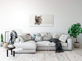 shutterstock_1869172456Uq7Xuqe66hlEg_1280x1280.jpg