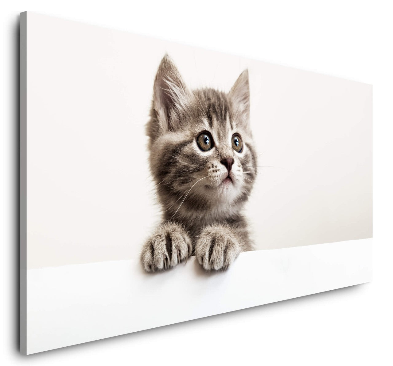 shutterstock_1869172456YasK8rlvsT7Vd_1280x1280.jpg