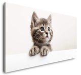 shutterstock_1869172456YasK8rlvsT7Vd_1280x1280.jpg