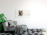 shutterstock_1869172456p531wRpiNgGEO_1280x1280.jpg