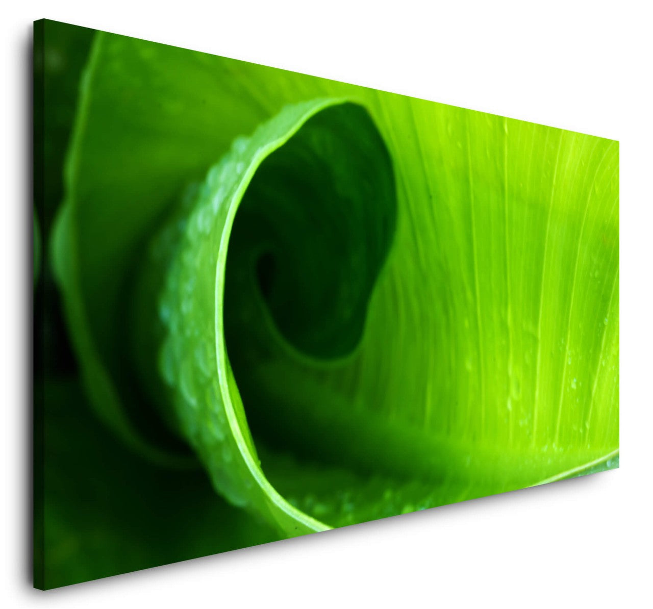 shutterstock_1871643864lgwTMCKZsZjh_1280x1280.jpg