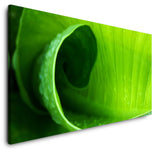 shutterstock_1871643864lgwTMCKZsZjh_1280x1280.jpg