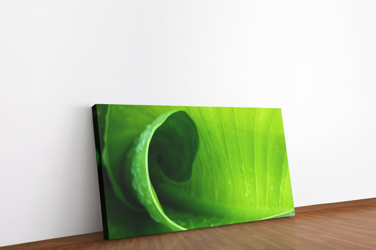 shutterstock_1871643866ZXGtTNg8Y53o_1280x1280.jpg