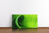 shutterstock_187164386eQDdz7A92kDAq_1280x1280.jpg