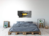 shutterstock_1875772858c1OnoeQSqpgHW_1280x1280.jpg