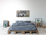 shutterstock_187834856I3uuyy1WtgEsa_1280x1280.jpg