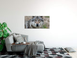 shutterstock_187834856YqkTRR60PoVb1_1280x1280.jpg