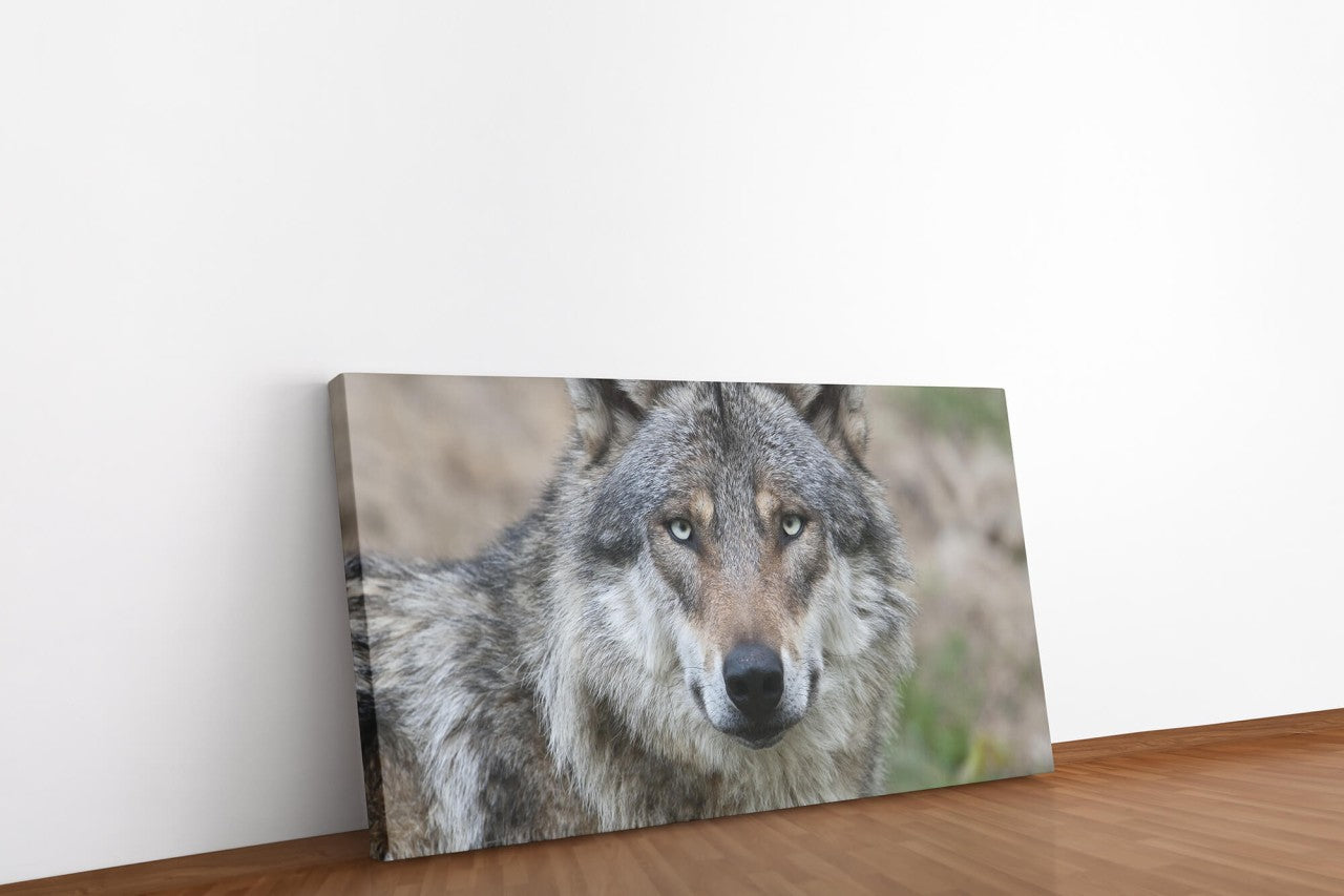 shutterstock_187834856jjsHNsYwFJDKD_1280x1280.jpg