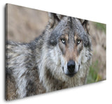 shutterstock_187834856kXVWBUlPNDyqc_1280x1280.jpg