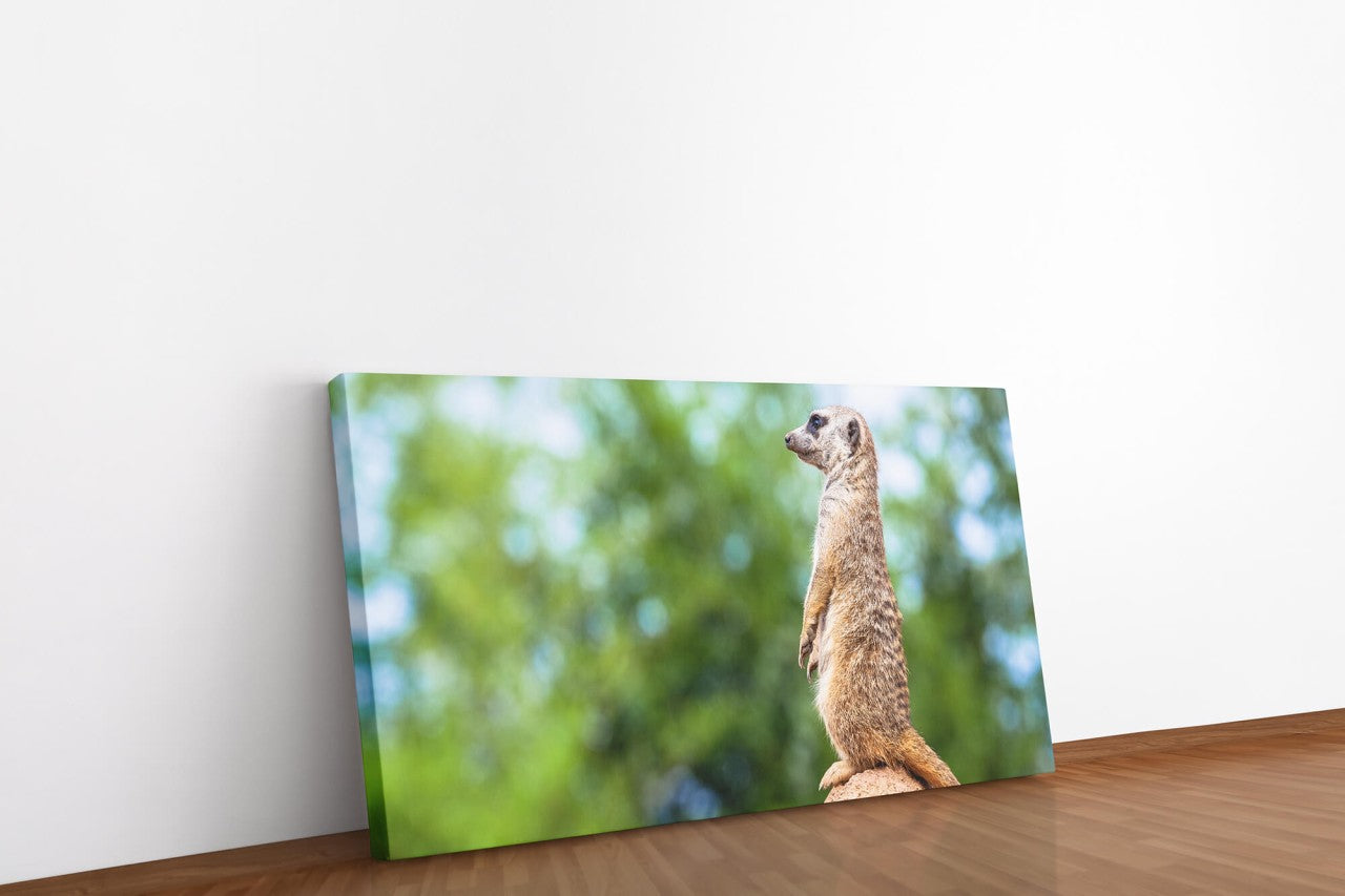 shutterstock_1881471448LBPI3tHX9PSQs_1280x1280.jpg