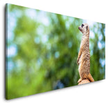 shutterstock_1881471448WwAYcrtamhf0K_1280x1280.jpg