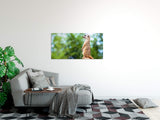 shutterstock_1881471448paO66Poaw4NSY_1280x1280.jpg