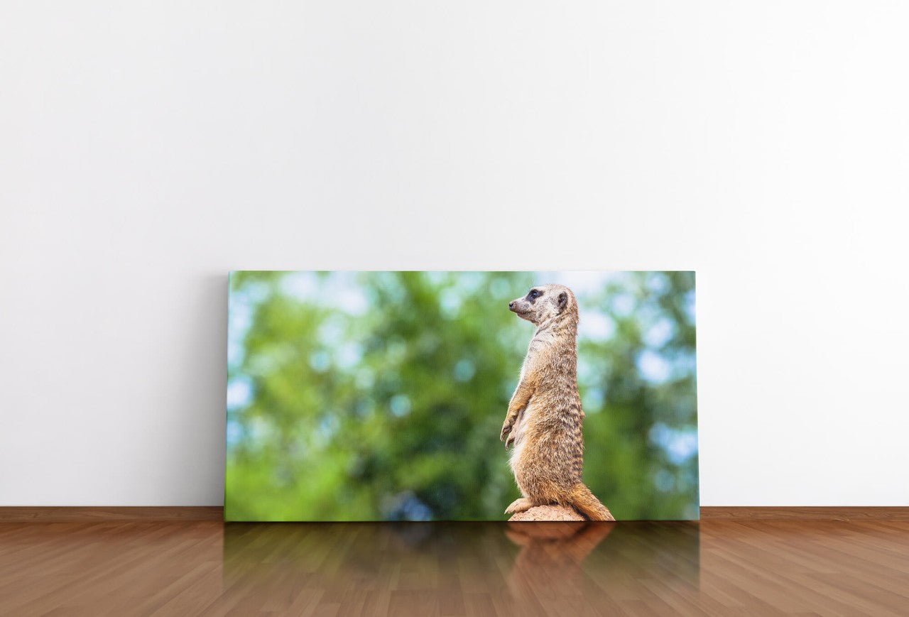 shutterstock_1881471448zKLu7gCgNiYUi_1280x1280.jpg