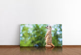 shutterstock_1881471448zKLu7gCgNiYUi_1280x1280.jpg