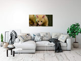 shutterstock_1894111282JEZ2XbvOLtzom_1280x1280.jpg