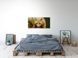 shutterstock_1894111282KLVffTBudfTh9_1280x1280.jpg
