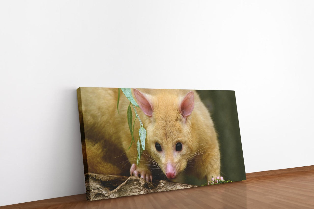 shutterstock_1894111282O726r9uRYlVjH_1280x1280.jpg