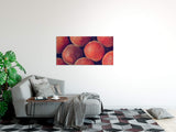shutterstock_19050319420ks1HBe7Sg8Sp_1280x1280.jpg