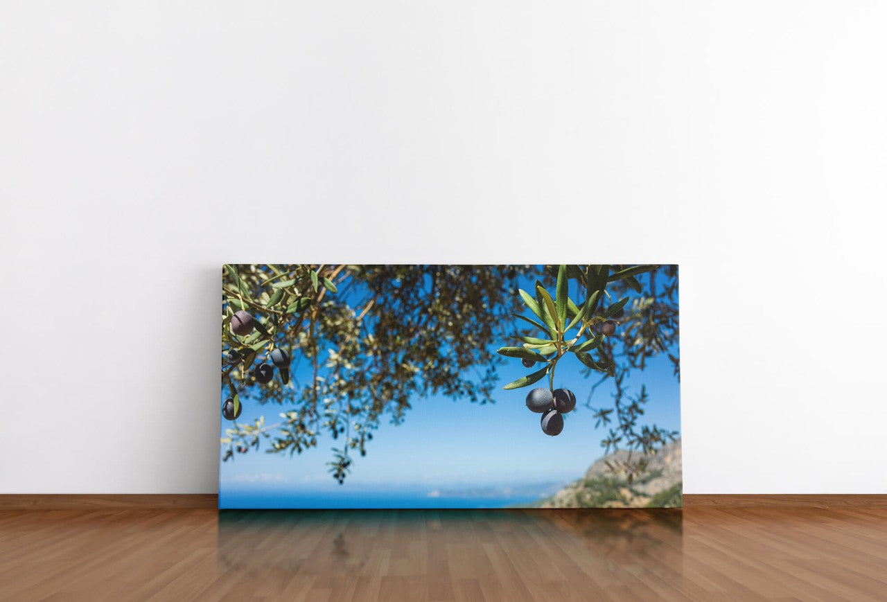 shutterstock_19055093895jTaCbN8zDSE9_1280x1280.jpg
