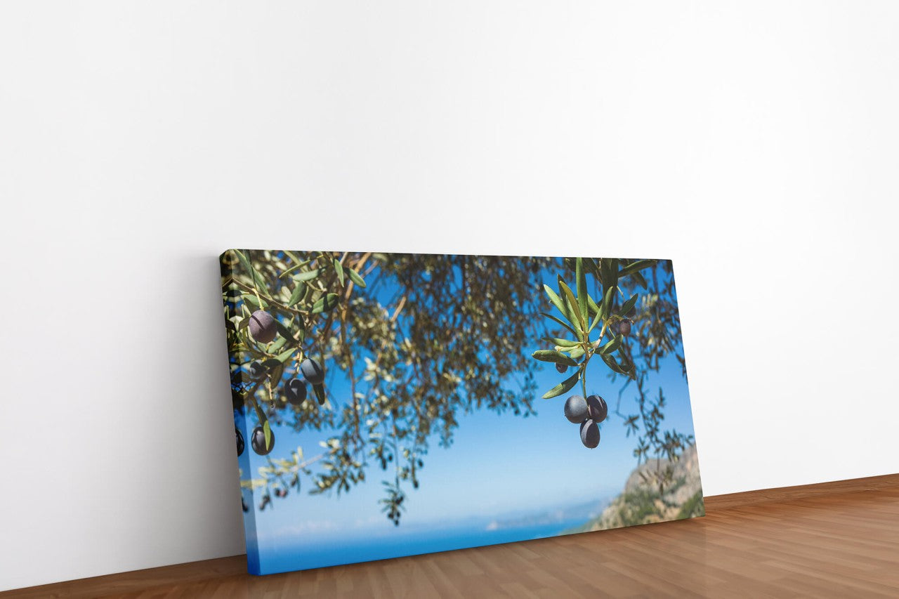shutterstock_1905509389nmeqqn0gjkanl_1280x1280.jpg