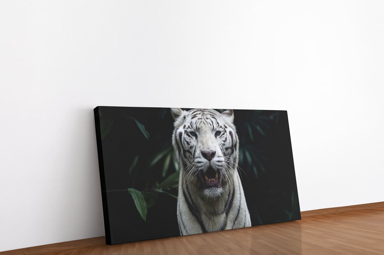 shutterstock_1911824803gIhPBfjp9Rzsq_1280x1280.jpg