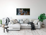 shutterstock_1913361931IKI0TvP2bhM0p_1280x1280.jpg