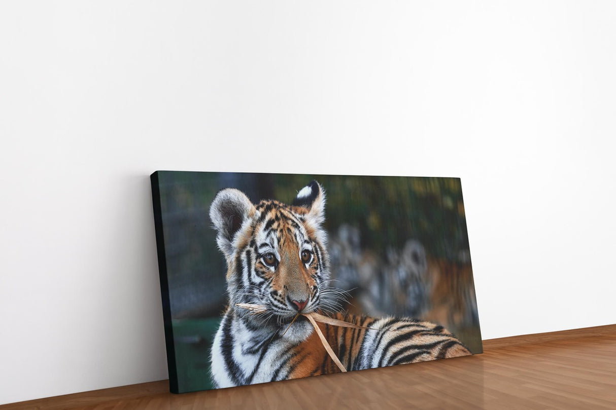 shutterstock_1913361931d9KKFybhBWBpz_1280x1280.jpg