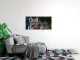 shutterstock_1913361931hWqc7Mk8Ggh4E_1280x1280.jpg