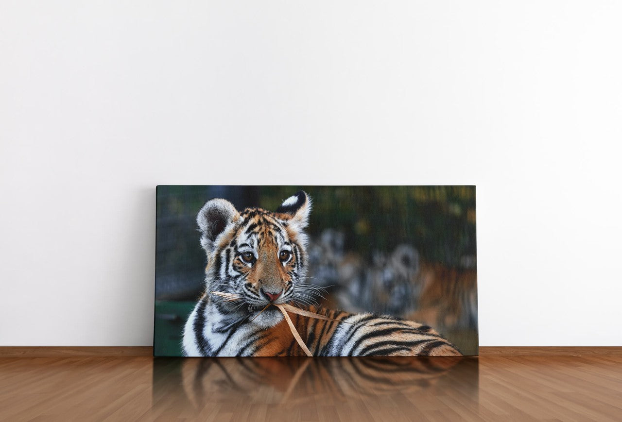 shutterstock_1913361931uElisn6hPT3gV_1280x1280.jpg