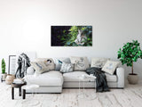 shutterstock_1916874149TtyPez9X8wfNM_1280x1280.jpg