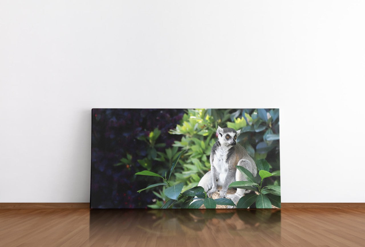 shutterstock_1916874149ZlChDQuJkC1Ao_1280x1280.jpg
