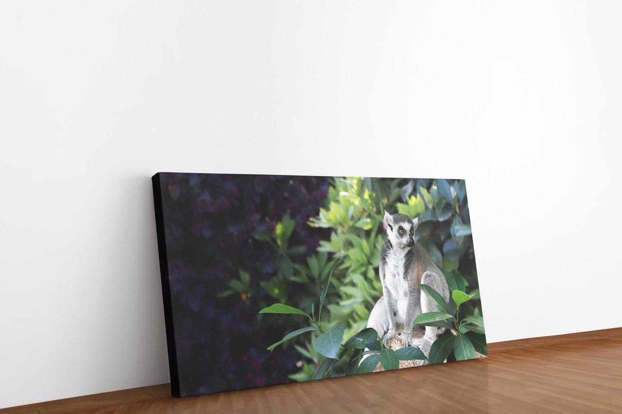 shutterstock_1916874149p30hrNbnUdUDa_1280x1280.jpg