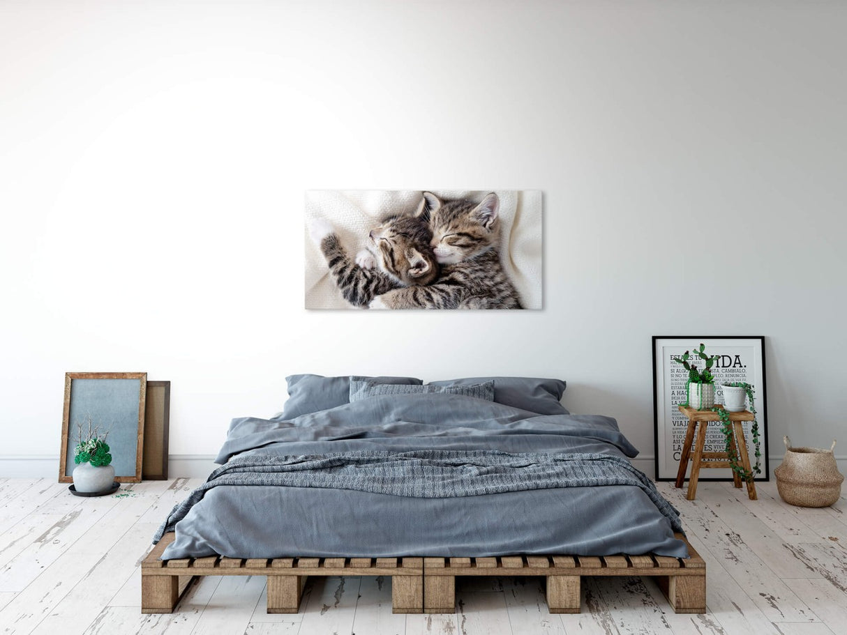 shutterstock_19173568943PTGdIohd5CjH_1280x1280.jpg
