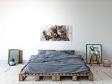 shutterstock_19173568943PTGdIohd5CjH_1280x1280.jpg