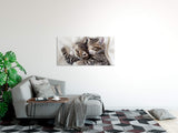 shutterstock_1917356894dTnv6AqvjSfyJ_1280x1280.jpg