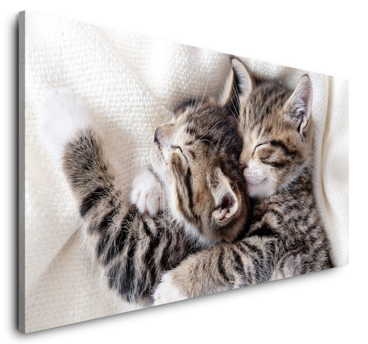 shutterstock_1917356894z8T7VVenxGssL_1280x1280.jpg