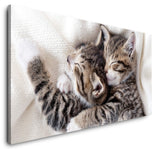shutterstock_1917356894z8T7VVenxGssL_1280x1280.jpg