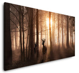 shutterstock_1927711508ViEhgfzXFe0At_1280x1280.jpg