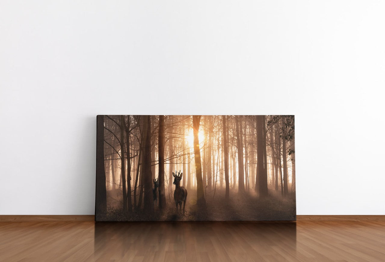 shutterstock_1927711508ohyRuAmNziE8w_1280x1280.jpg