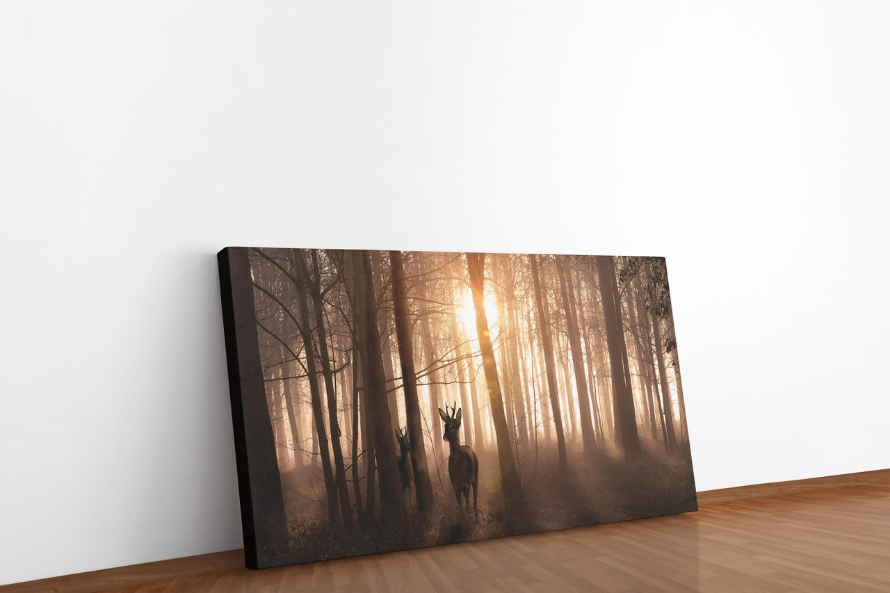 shutterstock_1927711508qtYVa0QBLdivy_1280x1280.jpg