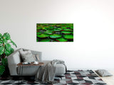 shutterstock_1927946633WUNBsdRDLvbSR_1280x1280.jpg