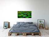 shutterstock_1927946633bmR1GGVmM0SjR_1280x1280.jpg