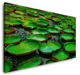 shutterstock_1927946633tlHJZkTB8oCnu_1280x1280.jpg