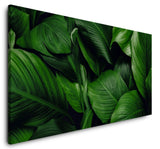 shutterstock_19309033101Mzv0Lc8AkYXm_1280x1280.jpg