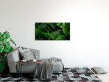shutterstock_1930903310Q2YPeYNdJoE10_1280x1280.jpg