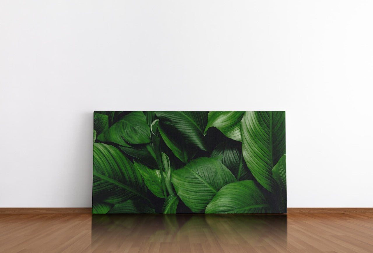 shutterstock_1930903310hkULZgb5z85W1_1280x1280.jpg