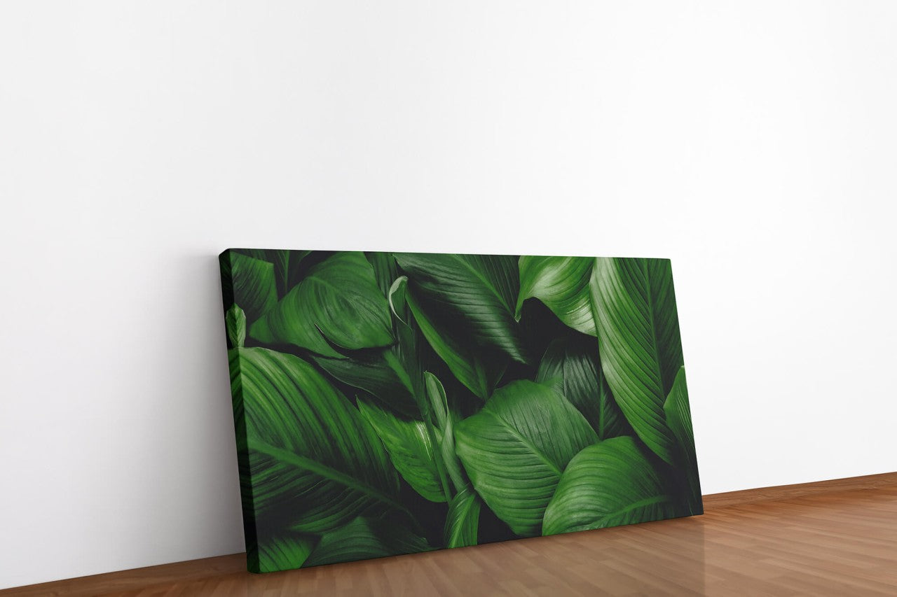 shutterstock_1930903310vE8ZtKGpWMLMN_1280x1280.jpg