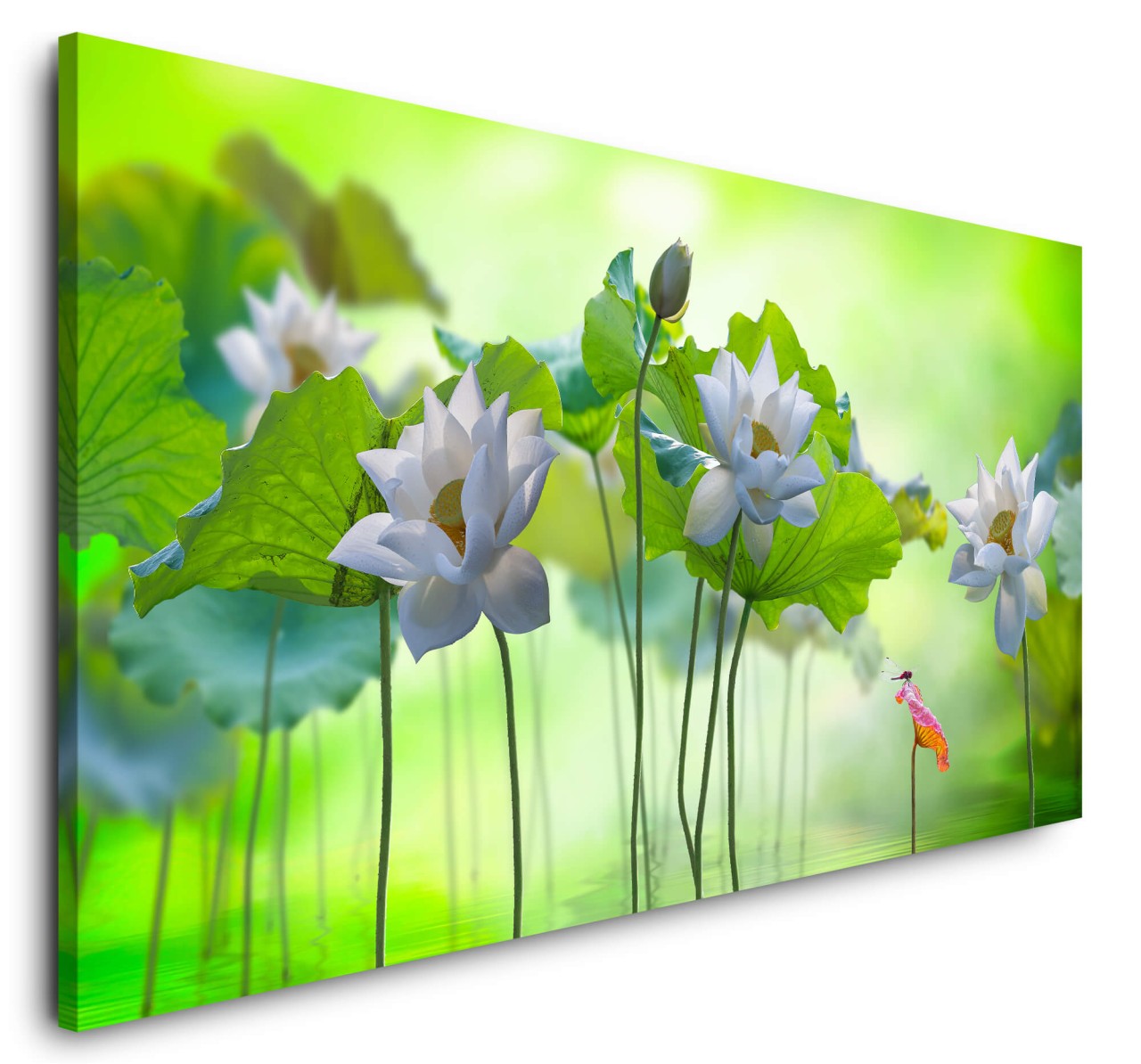 shutterstock_1932765197TZJYqz1woZ3ur_1280x1280.jpg